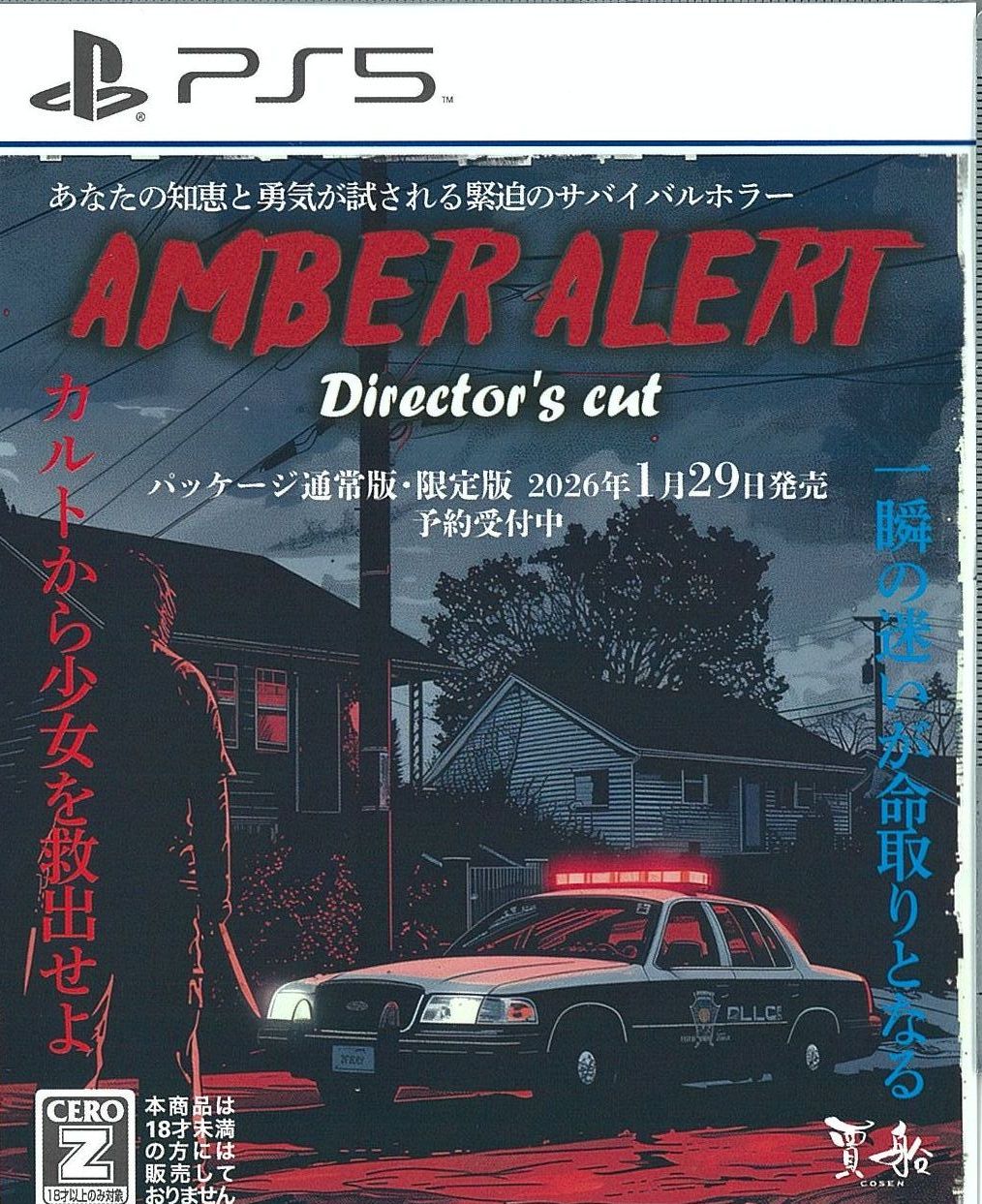 限)アンバーアラート Director