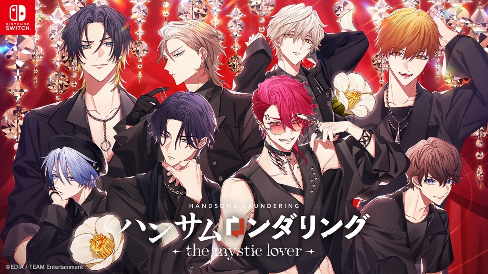 ハンサムロンダリング -the mystic lover- 特装版 B2布ポスター付き【お宝創庫オンラインストア専売】