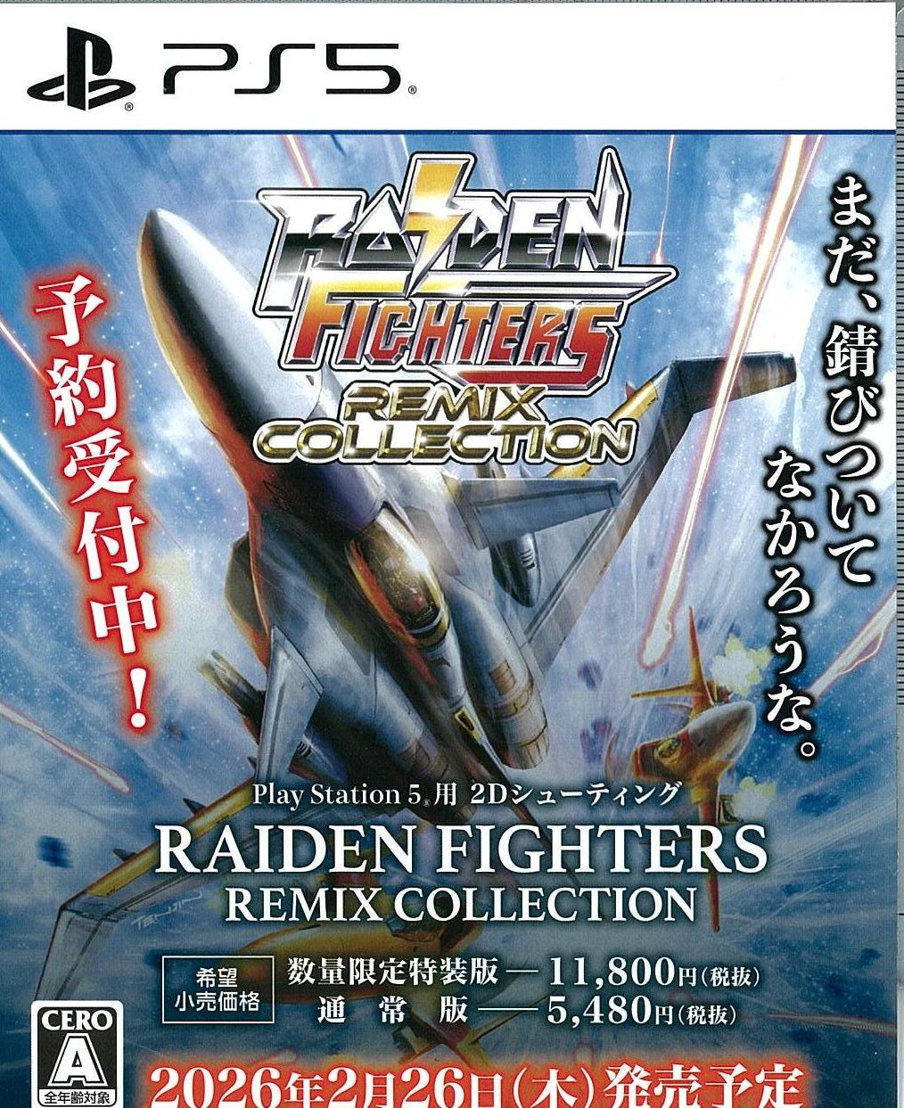 RAIDEN FIGHTERS REMIX COLLECTION 特装版