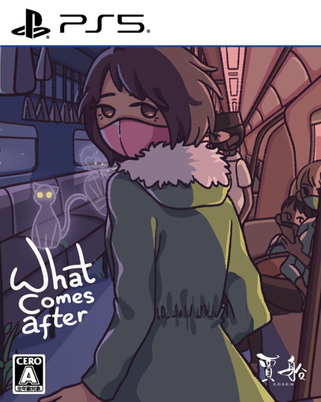 What comes after 通常版