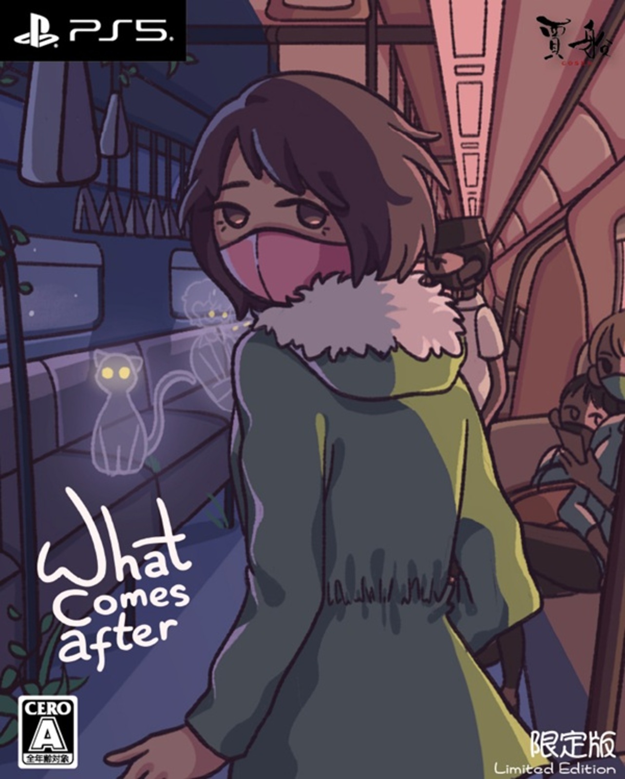 What comes after 限定版