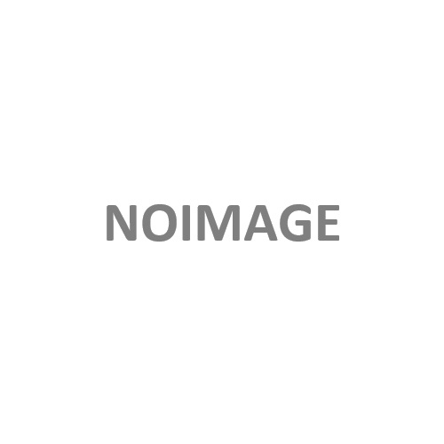 ホグワーツ・レガシー 価格改定版