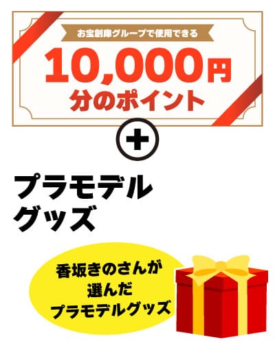 特別審査員賞 賞品