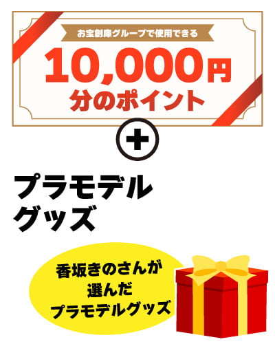特別審査員賞 賞品
