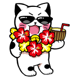 サマにゃーセール 8月17日(日)まで