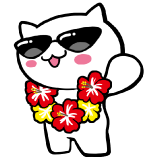 サマにゃーセール 8月17日(日)まで