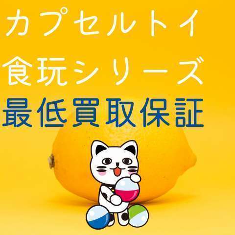 【期間延長】カプセルトイ・食玩 買取最低保証 【期間延長】カプセルトイ・食玩 買取最低保証