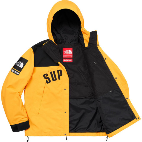 supreme×THE NORTH FACE 19ss Arc Logo Mountain Parka