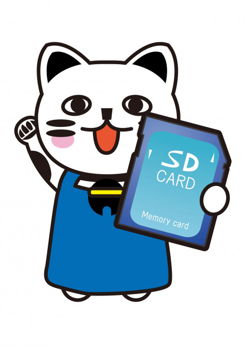 3DSを売る準備する猫