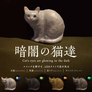 暗闇の猫達