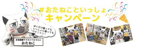おたねこといっしょ