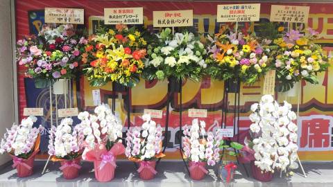 蒲生_お花