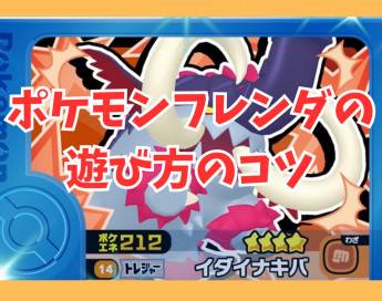 【初心者】ポケモンフレンダ遊び方のコツまとめ！
