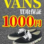 250619VANS_スニーカー